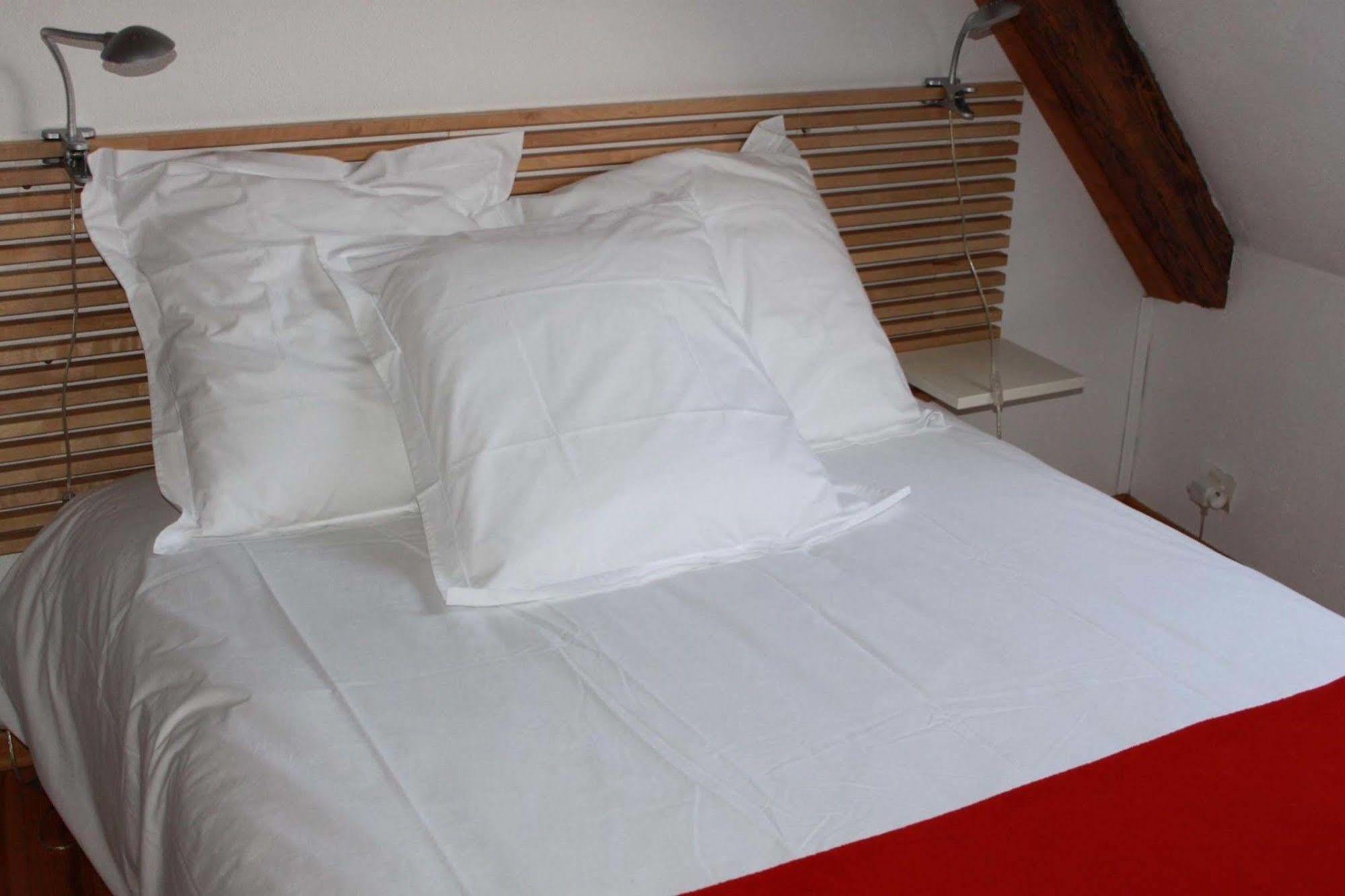 Les Appartements De Home Petite Venise Colmar Kültér fotó