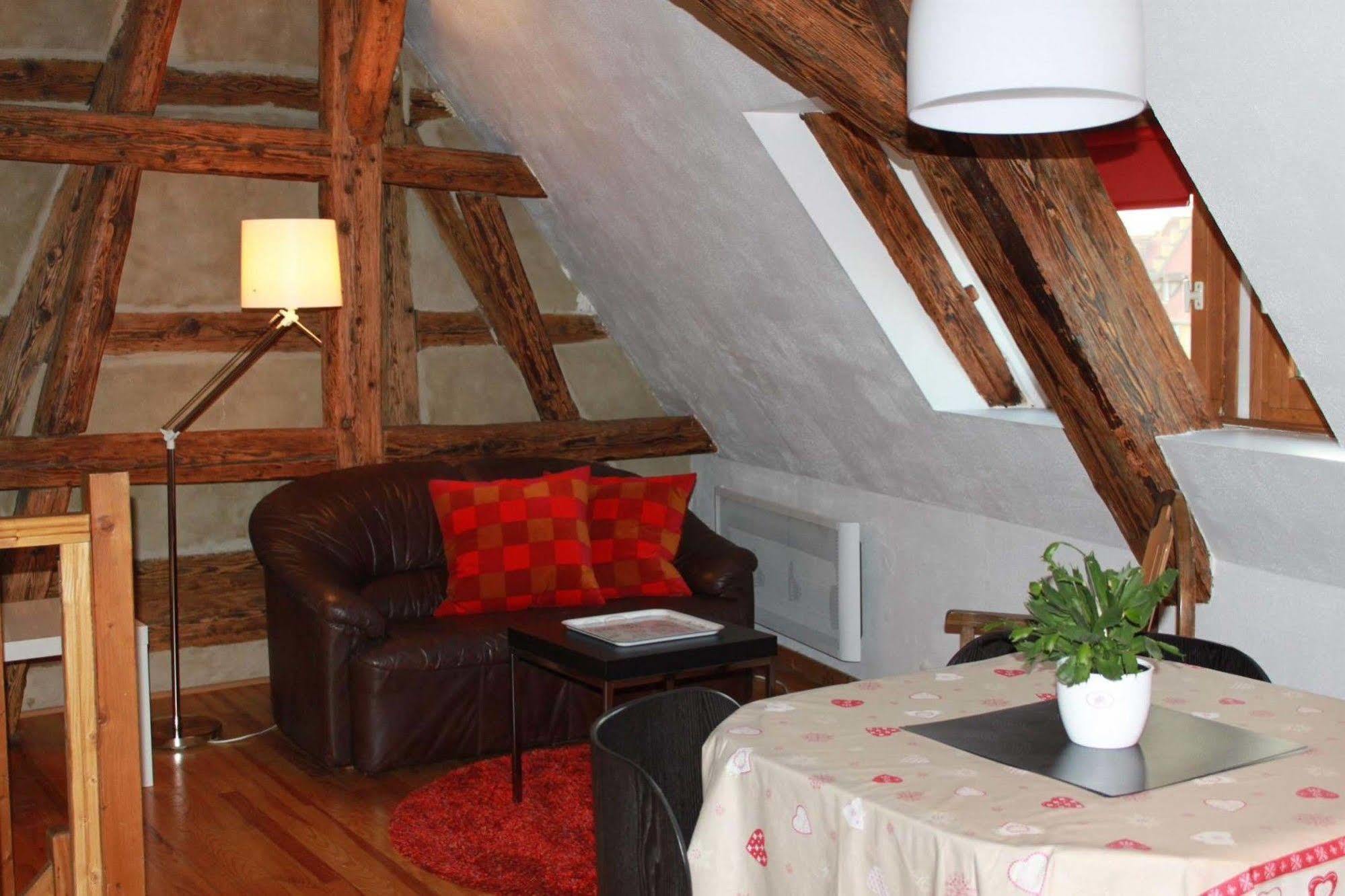 Les Appartements De Home Petite Venise Colmar Kültér fotó