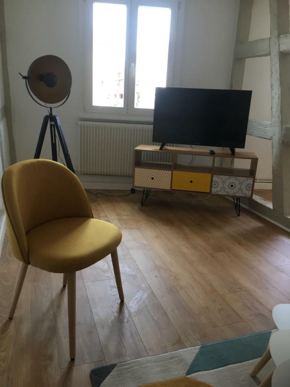 Les Appartements De Home Petite Venise Colmar Kültér fotó