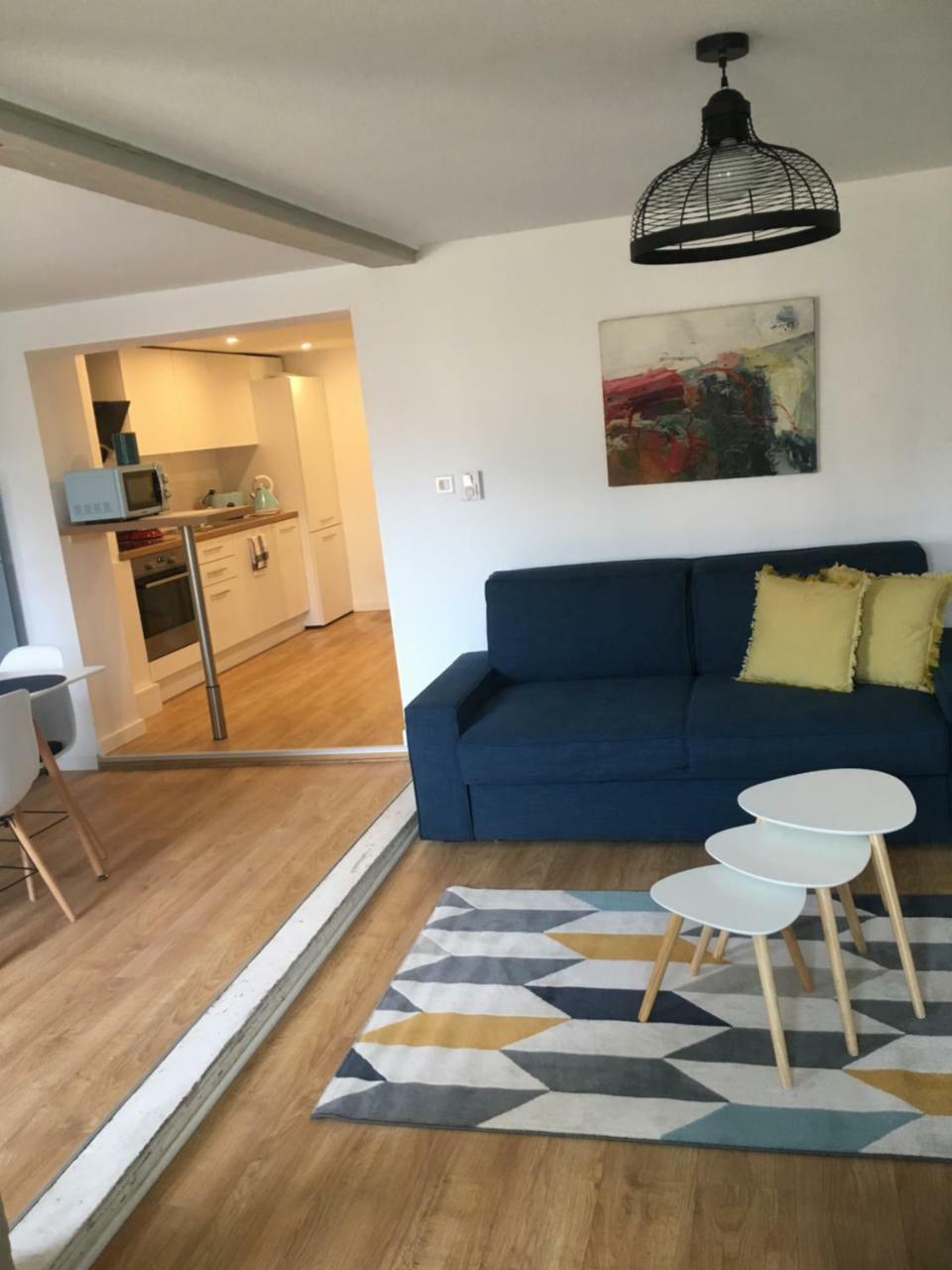 Les Appartements De Home Petite Venise Colmar Kültér fotó