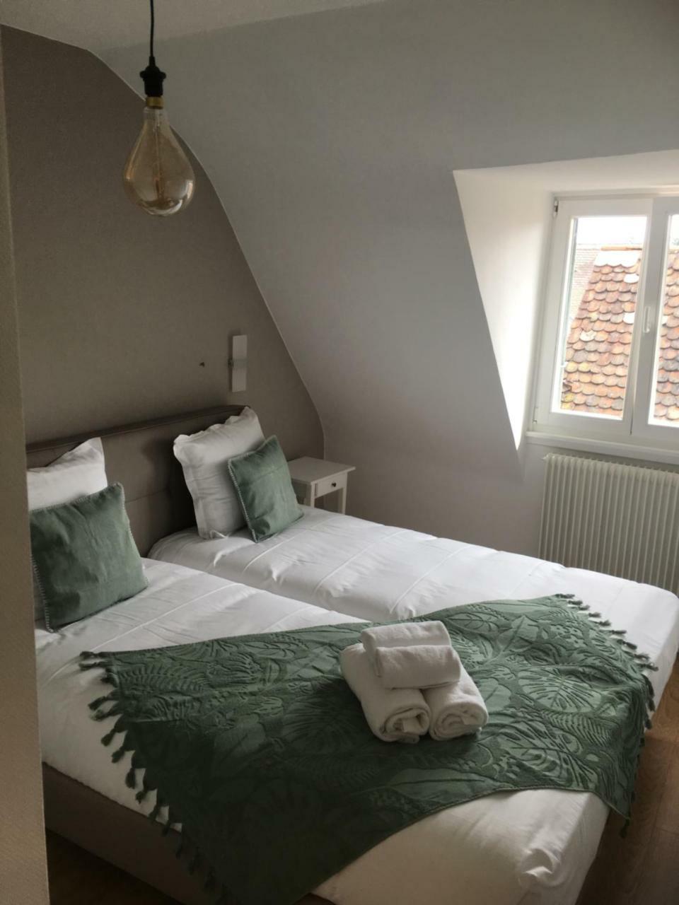 Les Appartements De Home Petite Venise Colmar Kültér fotó