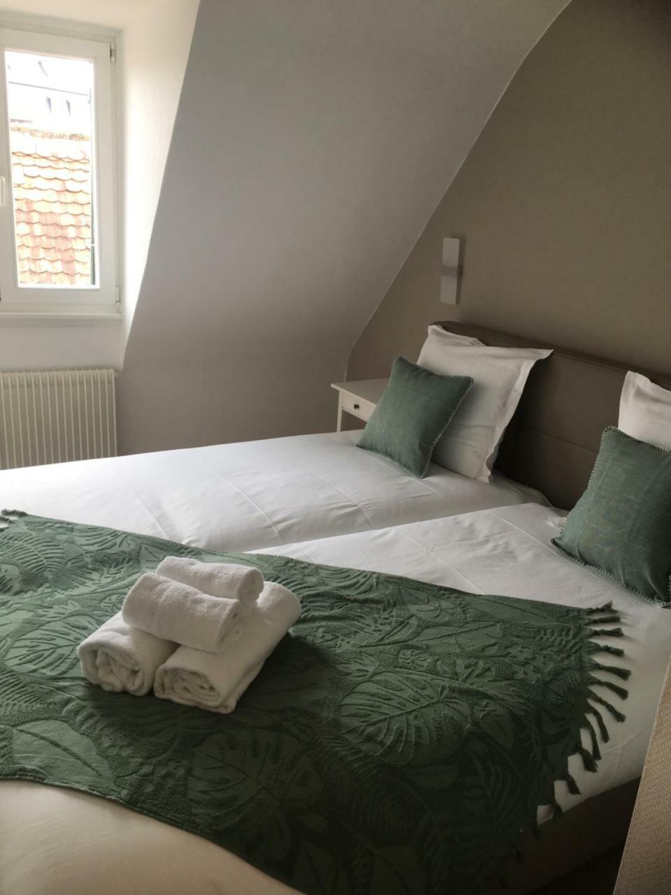 Les Appartements De Home Petite Venise Colmar Kültér fotó
